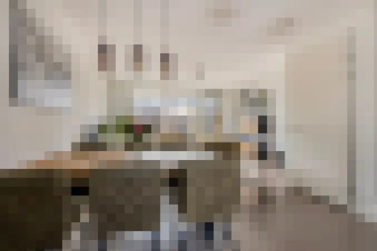 Colognekaai 42 Bergen op Zoom thumbnail 17