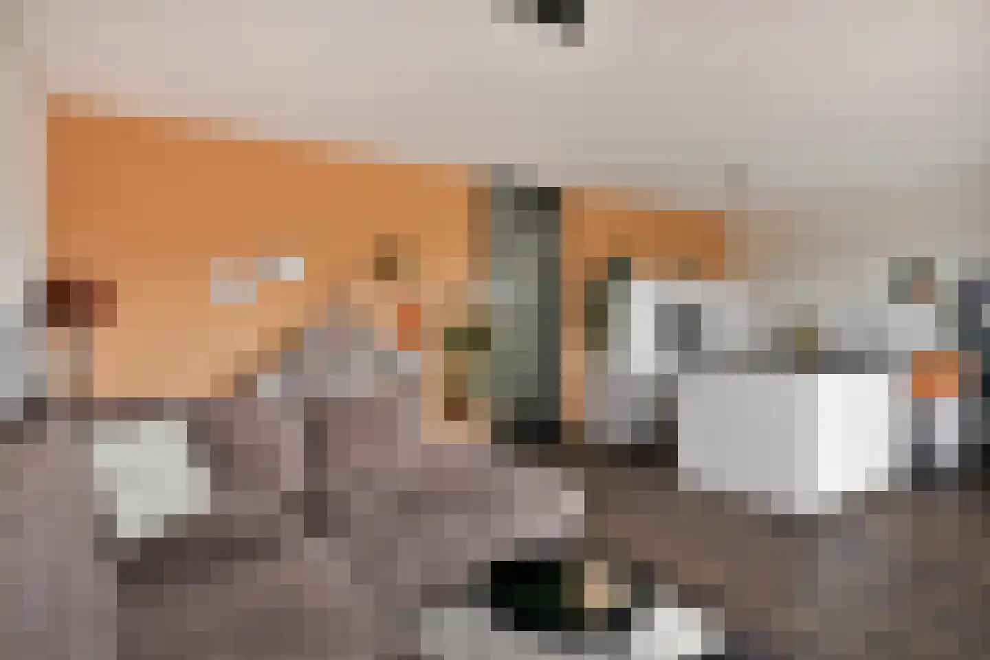 Colognekaai 6 d Bergen op Zoom thumbnail 15