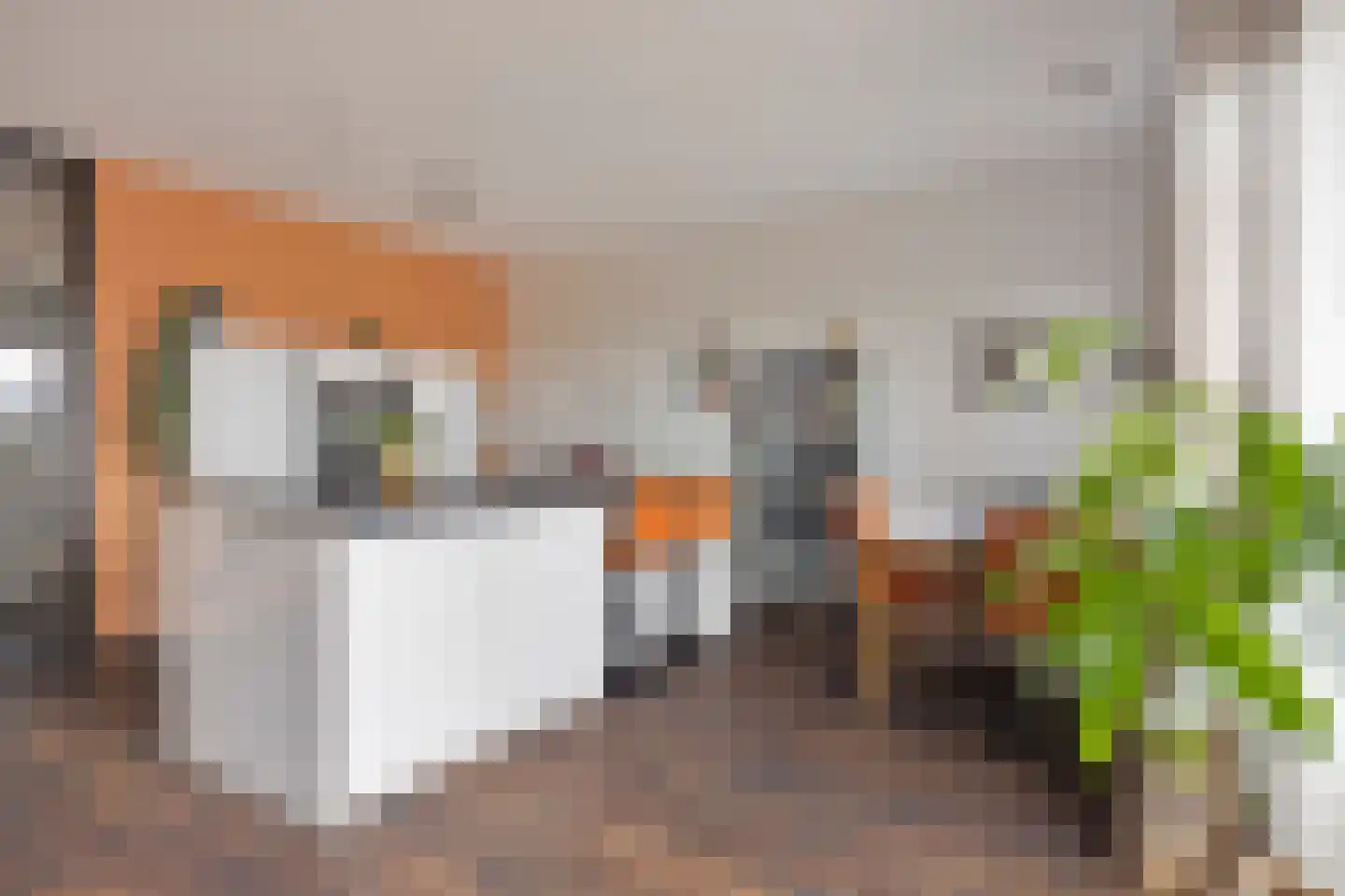 Colognekaai 6 d Bergen op Zoom thumbnail 21