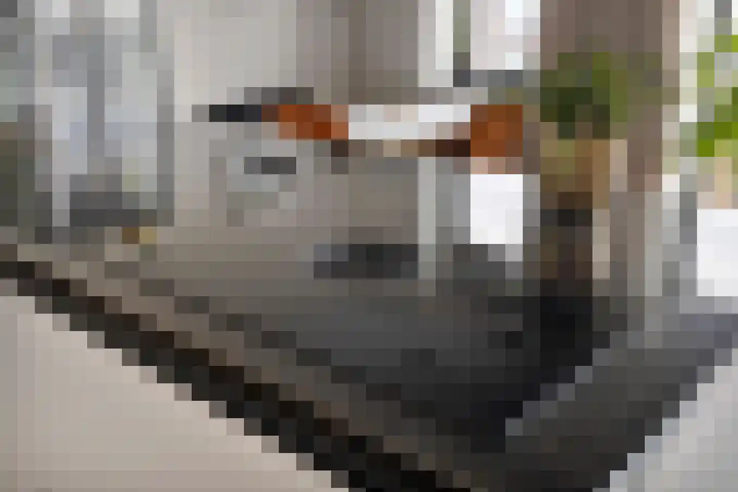 Colognekaai 6 d Bergen op Zoom thumbnail 23
