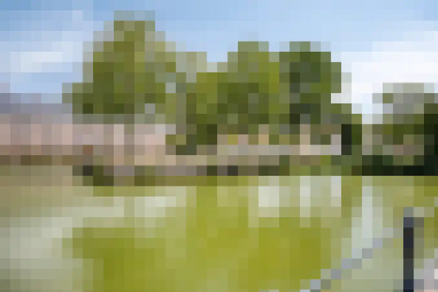 Colognekaai 6 d Bergen op Zoom thumbnail 46