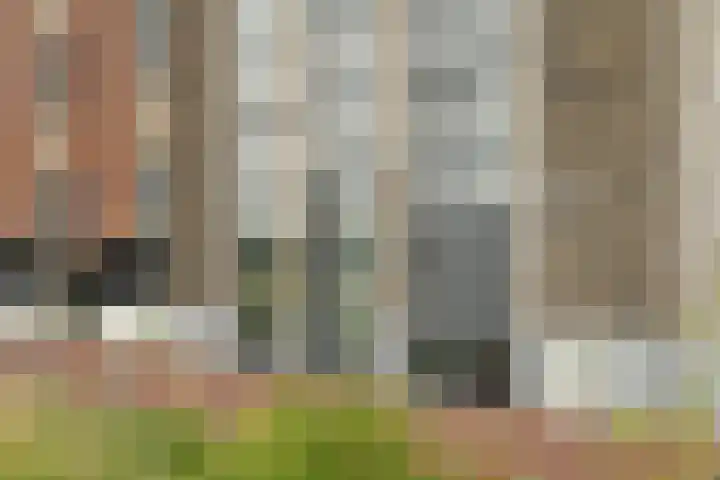 Colognekaai 8 a Bergen op Zoom thumbnail 12