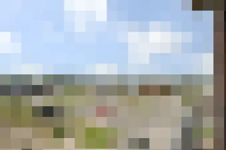 Colognekaai 8 a Bergen op Zoom thumbnail 8
