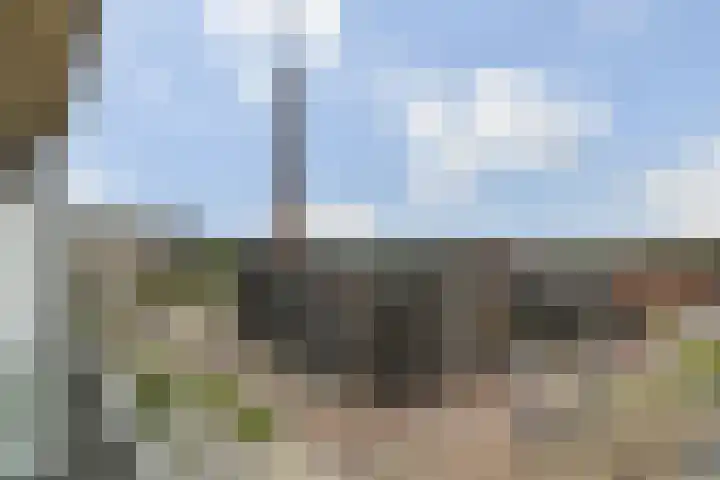 Colognekaai 8 a Bergen op Zoom thumbnail 9