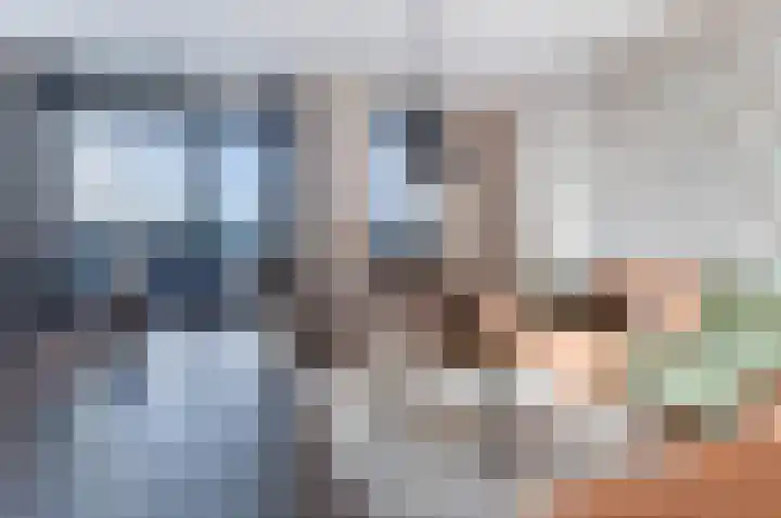 Colognekaai 8 d Bergen op Zoom thumbnail 8