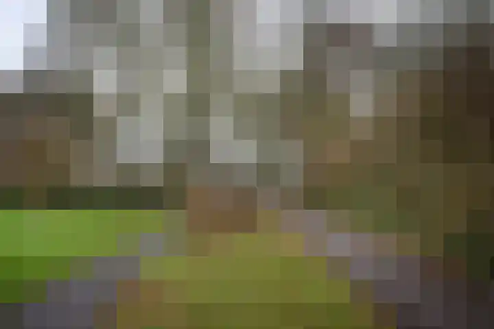 Colombiadreef 8 Utrecht thumbnail 35