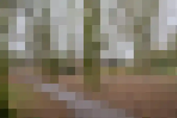 Colombiadreef 8 Utrecht thumbnail 36