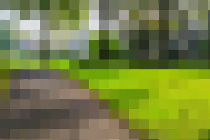 Colombiadreef 8 Utrecht thumbnail 37