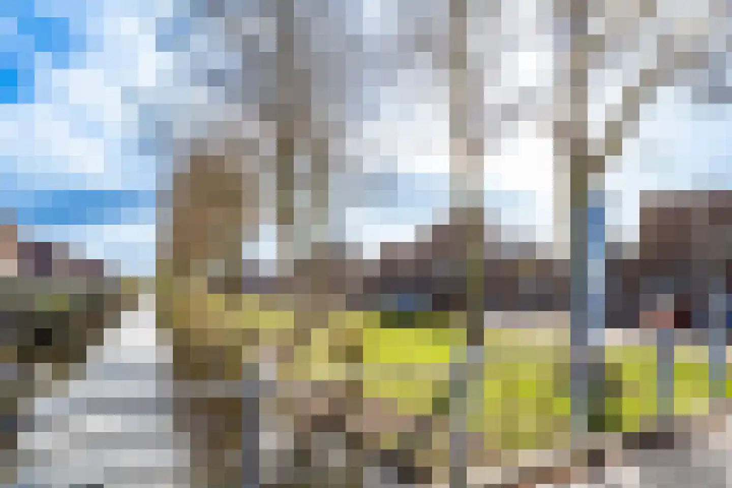 Colombiahof 6 IJsselstein thumbnail 36