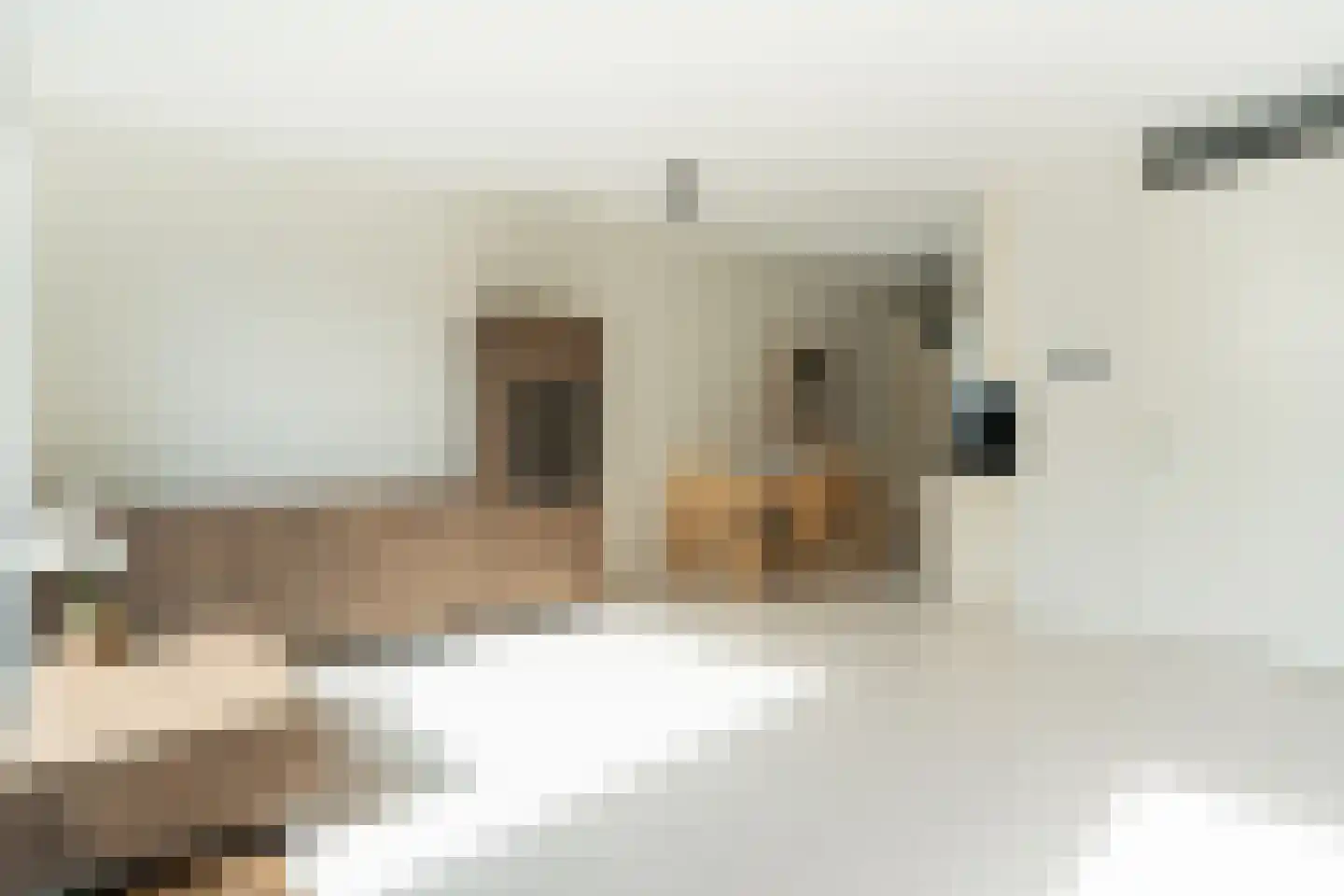 Colonnade 35 Hoofddorp thumbnail 14