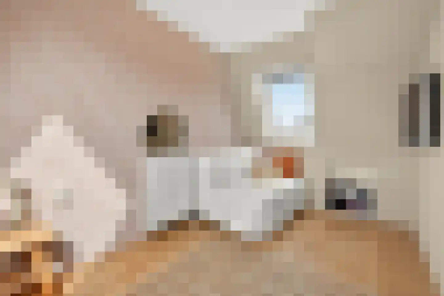 Colonnade 39 Hoofddorp thumbnail 44