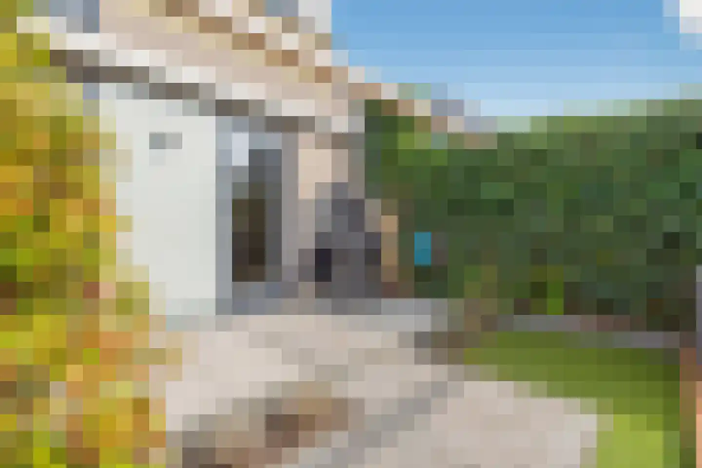 Colonnade 39 Hoofddorp thumbnail 50