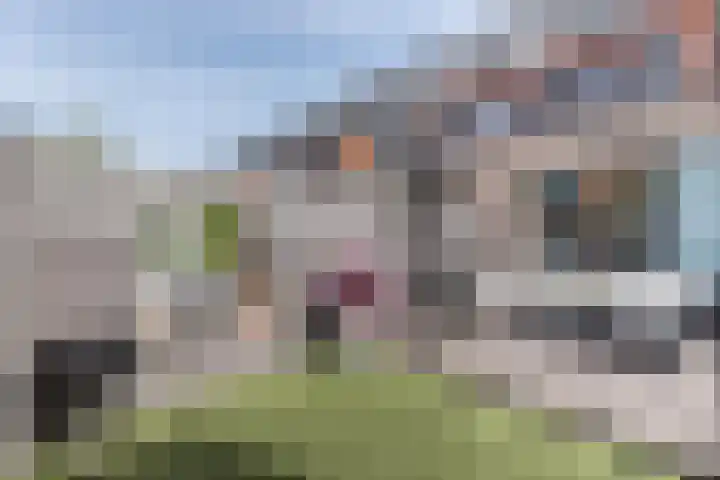 Colonnade 79 Hoofddorp thumbnail 20
