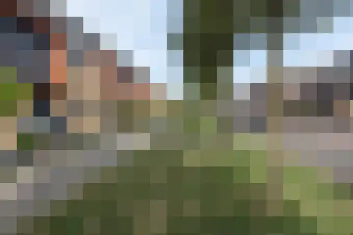 Colonnade 79 Hoofddorp thumbnail 40