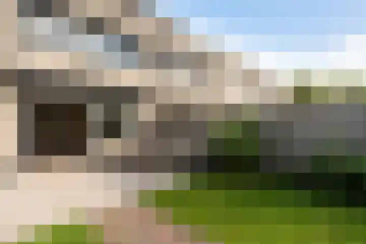 Colorado 10 Dordrecht thumbnail 16