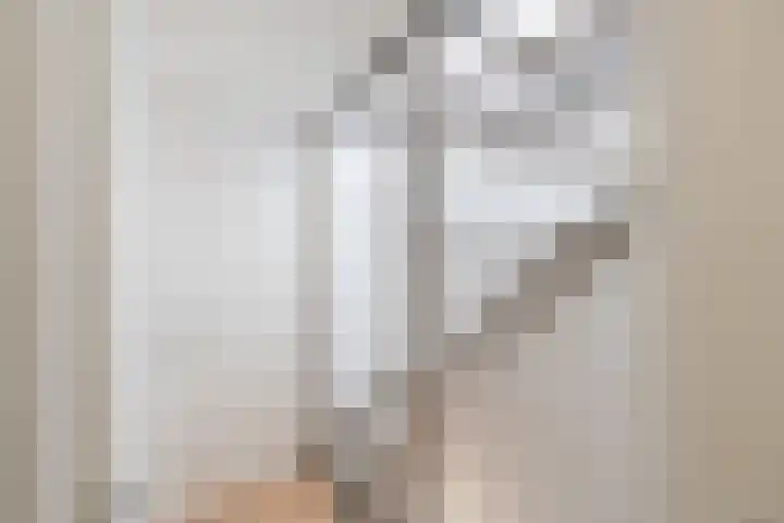 Colorado 10 Dordrecht thumbnail 31