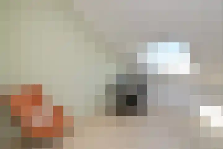 Colorado 123 Nieuwerkerk aan den IJssel thumbnail 19
