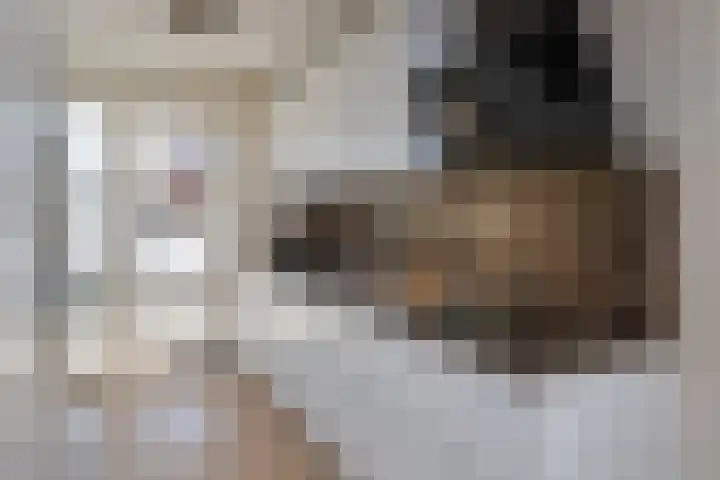 Colorado 123 Nieuwerkerk aan den IJssel thumbnail 4