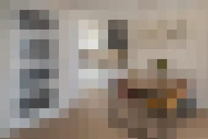 Colorado 123 Nieuwerkerk aan den IJssel thumbnail 8