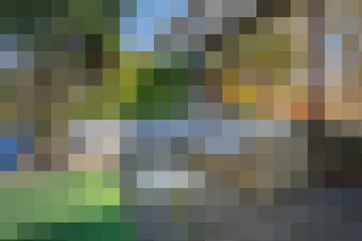 Colorado 16 Amstelveen thumbnail 32