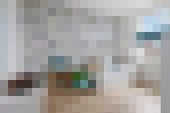 Colorado 204 Nieuwerkerk aan den IJssel thumbnail 14