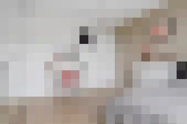 Colorado 204 Nieuwerkerk aan den IJssel thumbnail 18