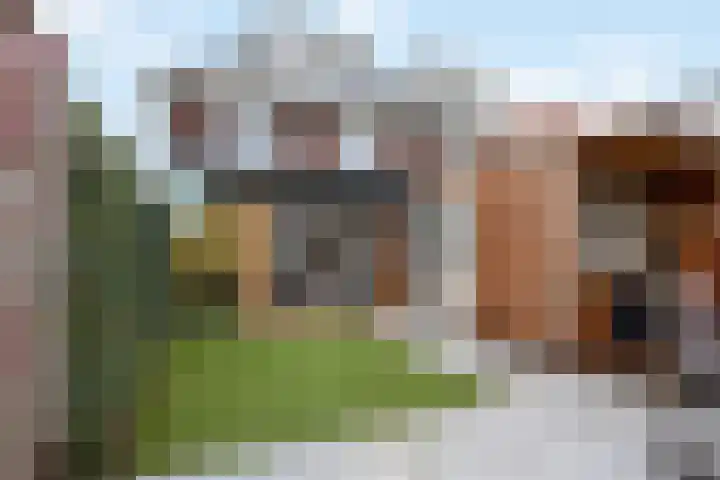 Colorado 204 Nieuwerkerk aan den IJssel thumbnail 40
