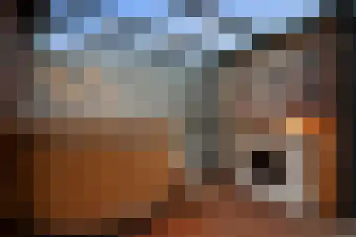 Colorado 204 Nieuwerkerk aan den IJssel thumbnail 46