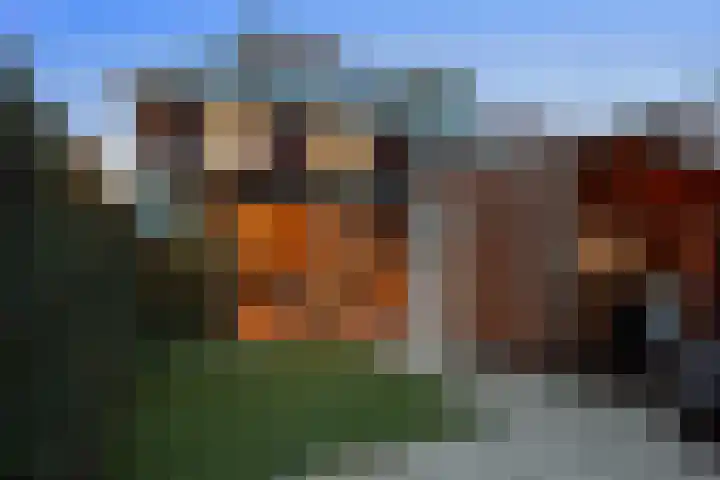 Colorado 204 Nieuwerkerk aan den IJssel thumbnail 49