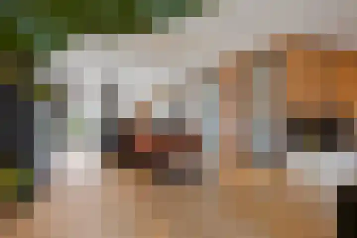 Colorado 204 Nieuwerkerk aan den IJssel thumbnail 8