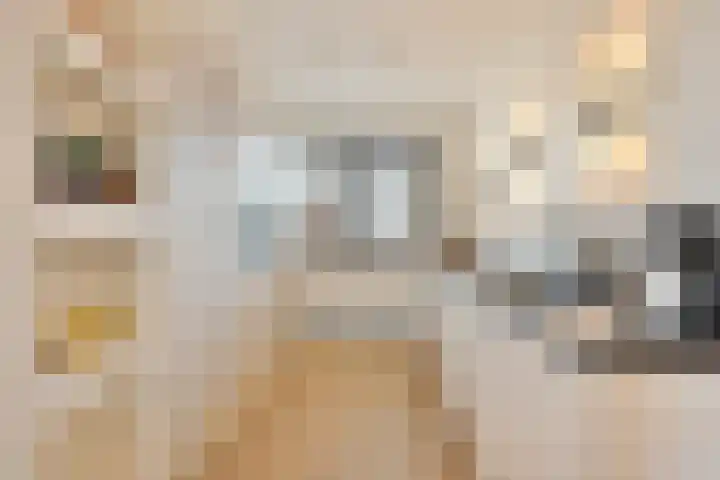 Colorado 238 Nieuwerkerk aan den IJssel thumbnail 10