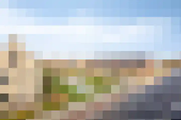 Colorado 238 Nieuwerkerk aan den IJssel thumbnail 22