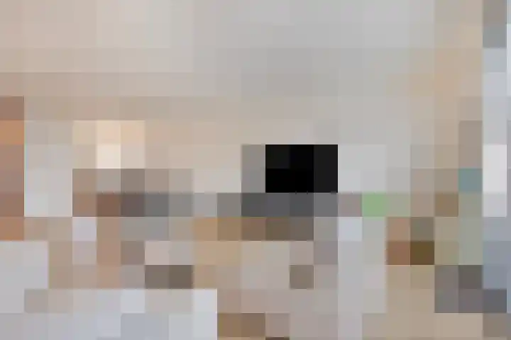 Colorado 238 Nieuwerkerk aan den IJssel thumbnail 8