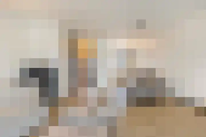 Colorado 238 Nieuwerkerk aan den IJssel thumbnail 9