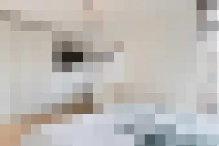 Colorado 26 Dordrecht thumbnail 23