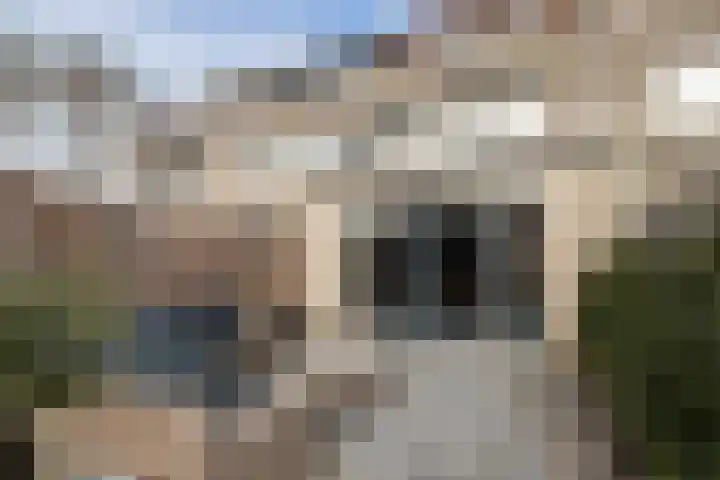 Colorado 26 Dordrecht thumbnail 37