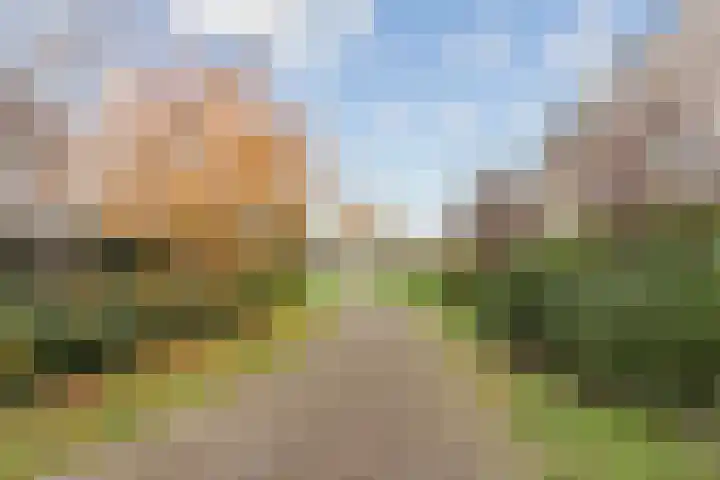 Colorado 57 Nieuwerkerk aan den IJssel thumbnail 27