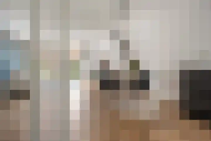 Colorado 57 Nieuwerkerk aan den IJssel thumbnail 6