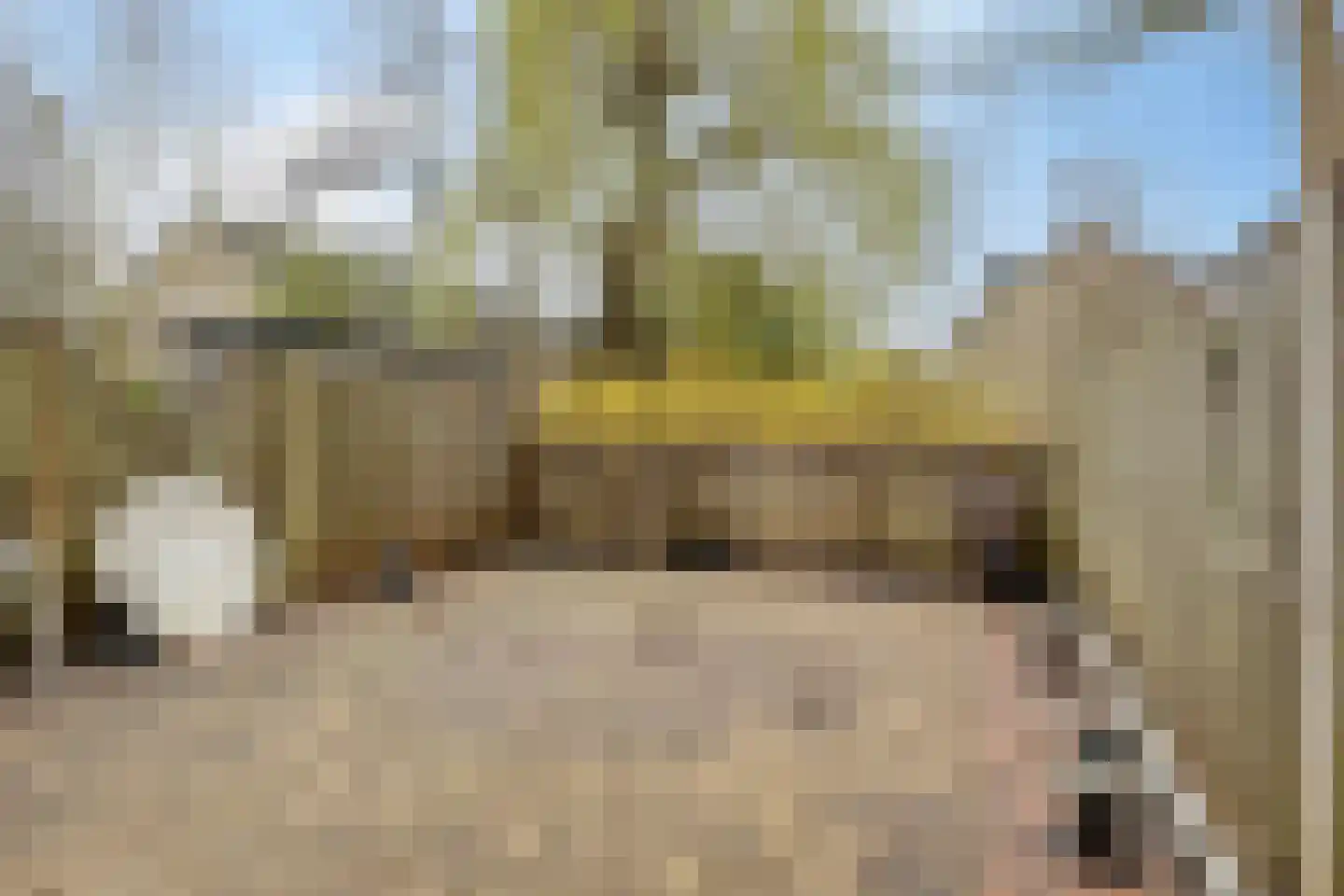 Colorado 7 Amstelveen thumbnail 4