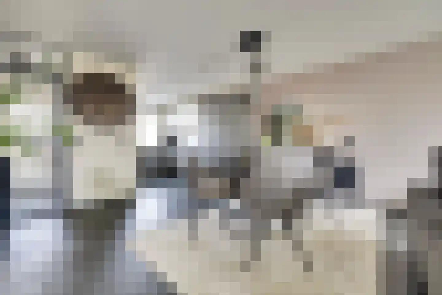 Coloradostraat 11 Spijkenisse thumbnail 13