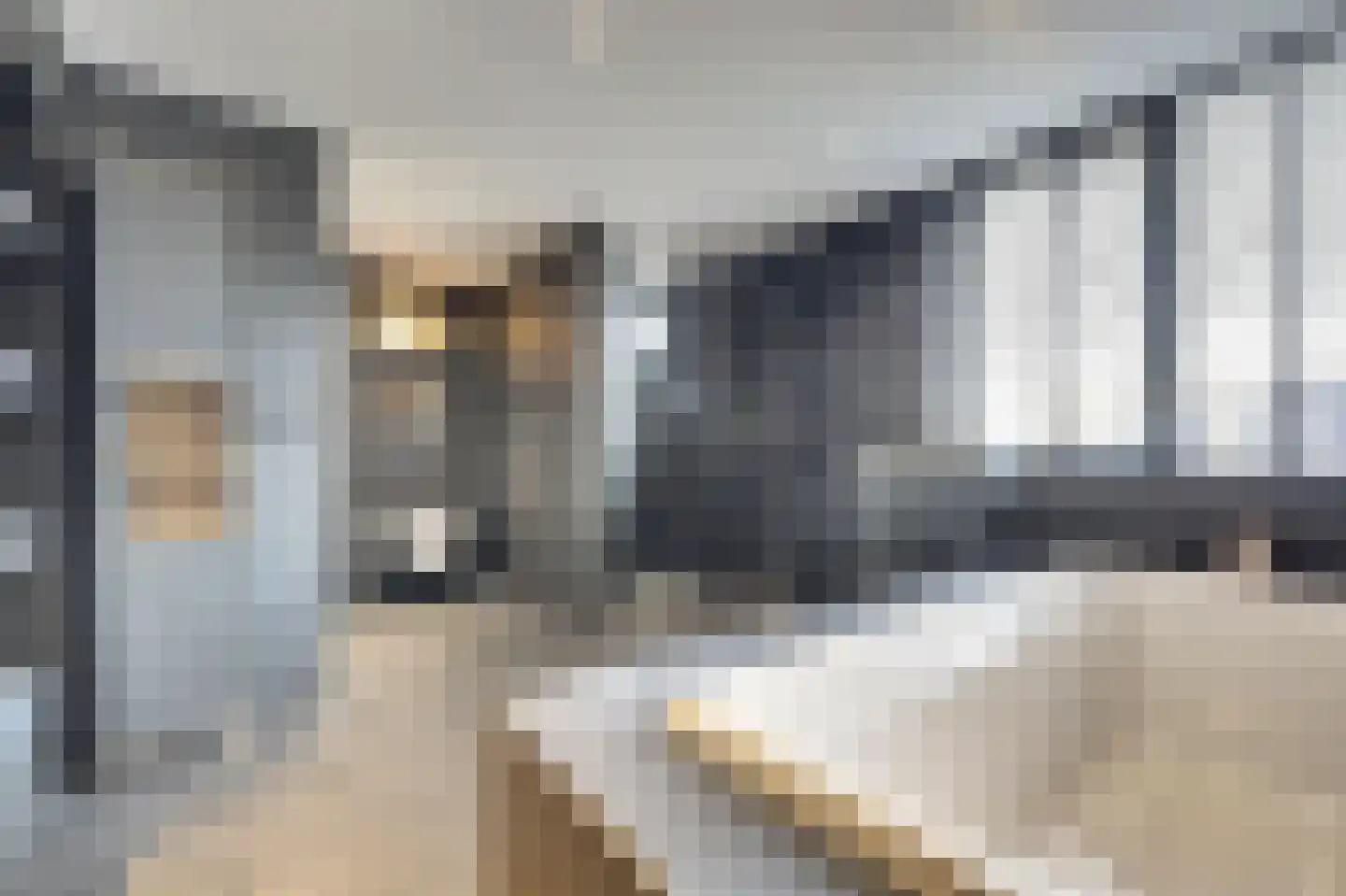 Coloradostraat 11 Spijkenisse thumbnail 22