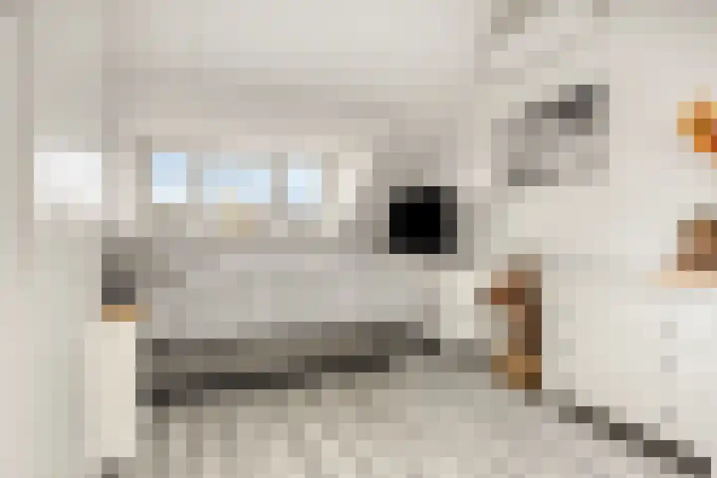 Coloradostraat 19 Purmerend thumbnail 28