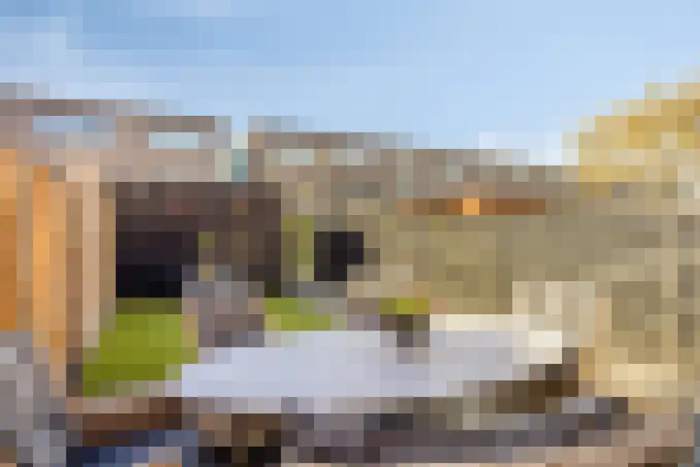 Coloradostraat 19 Purmerend thumbnail 32