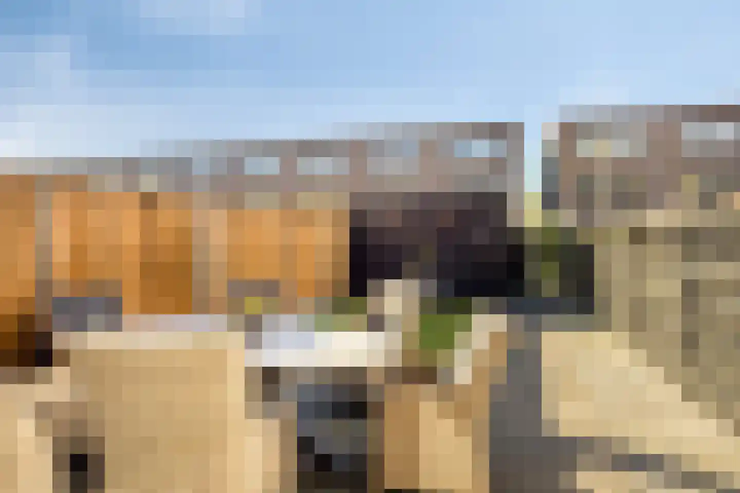 Coloradostraat 19 Purmerend thumbnail 33