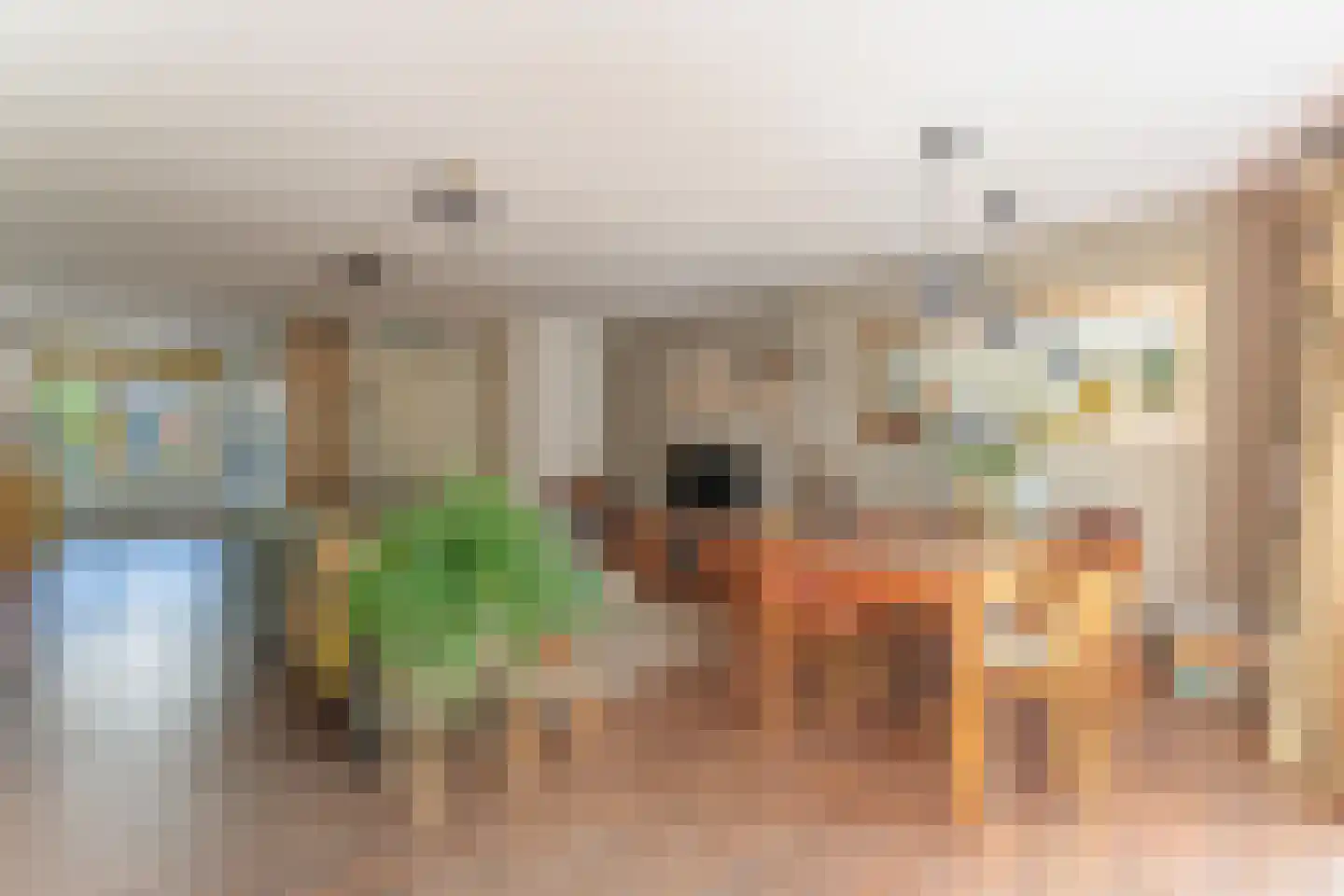 Coloradostraat 25 Purmerend thumbnail 16