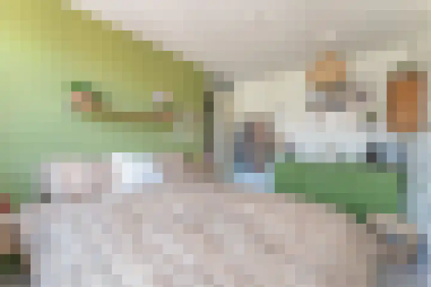 Coloradostraat 25 Purmerend thumbnail 25