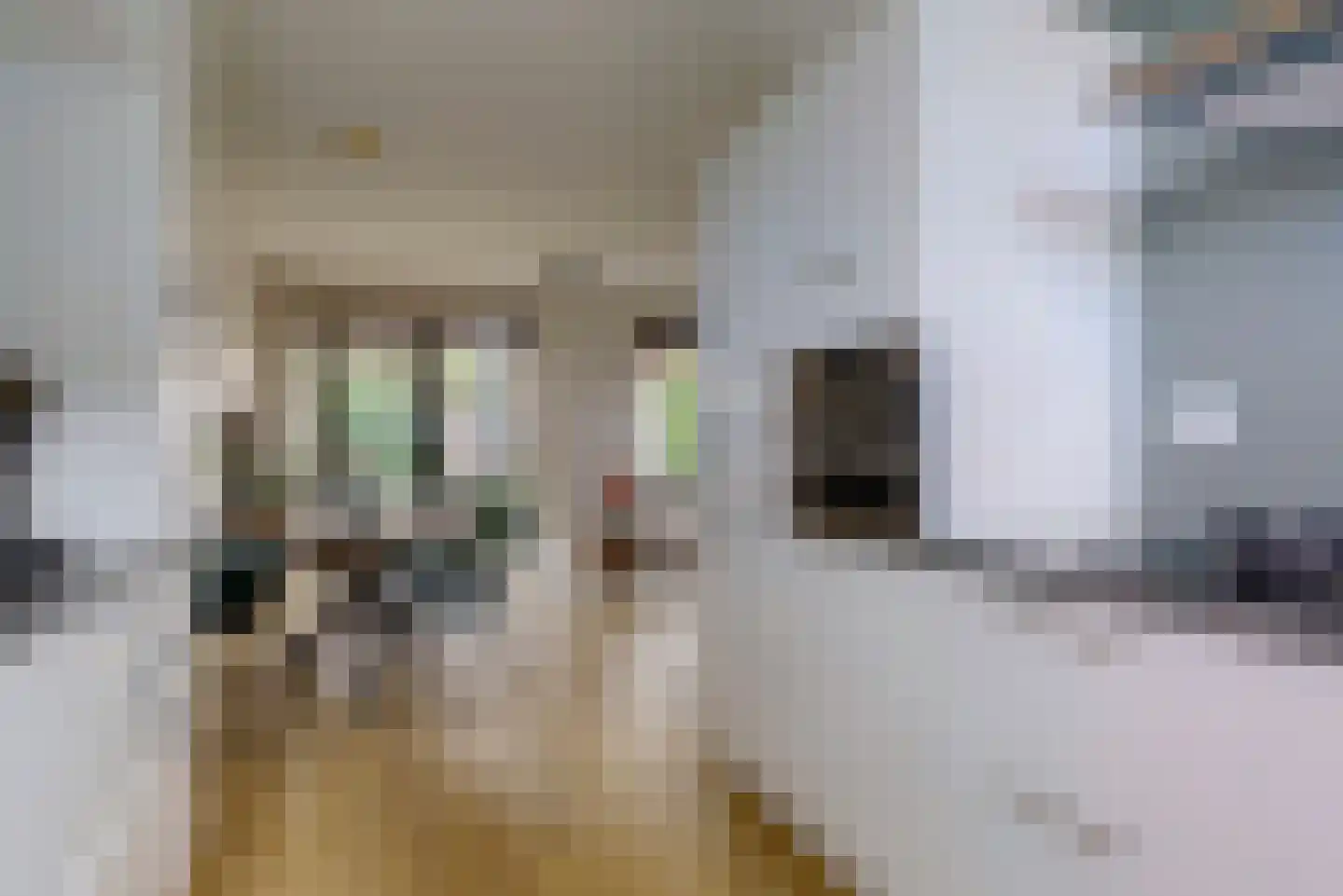 Colosseum 25 a Elst thumbnail 13