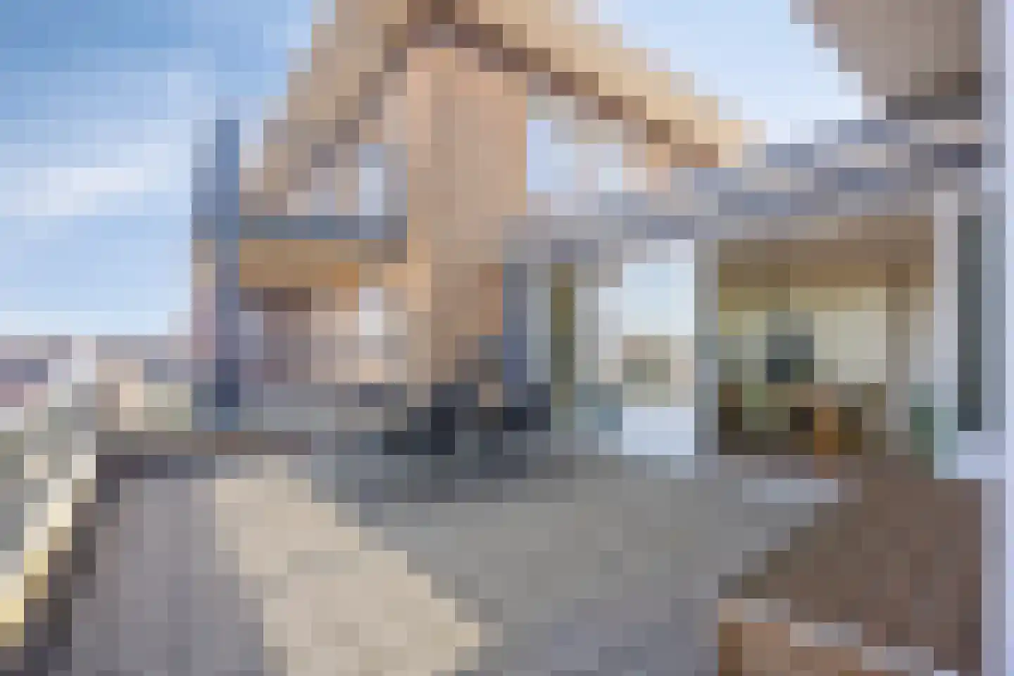 Colosseum 53 Noordwijkerhout thumbnail 31