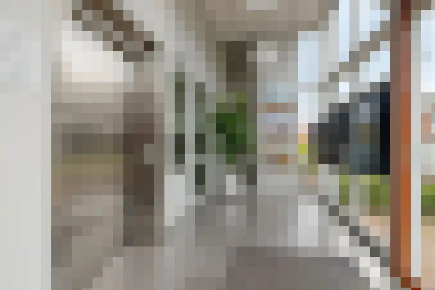 Colosseum 53 Noordwijkerhout thumbnail 7