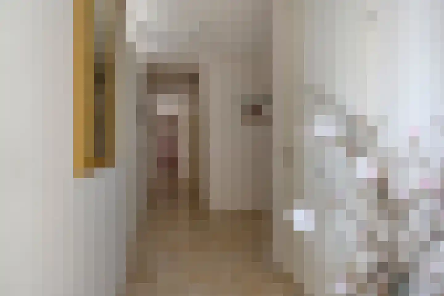 Colosseum 53 Noordwijkerhout thumbnail 9